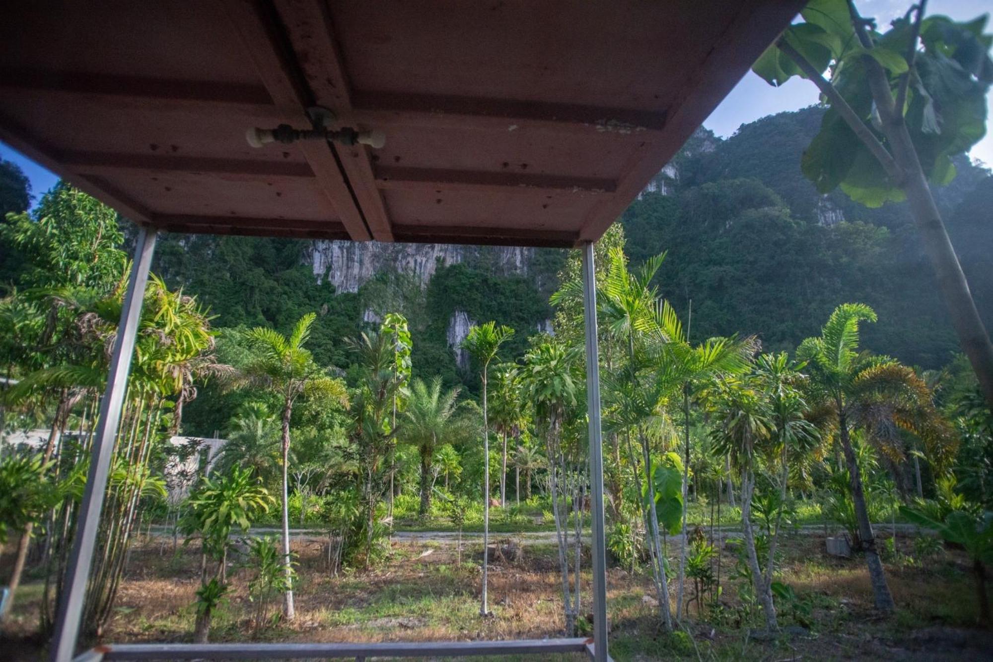 The Camper Lodge Khao Sok Ban Bang Bon Bagian luar foto
